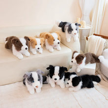 Load image into Gallery viewer, Realistic Border Collie Stuffed Animal Plush Toy - 4 Coat Colors-11