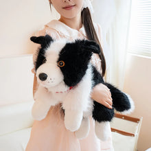 Load image into Gallery viewer, Realistic Border Collie Stuffed Animal Plush Toy - 4 Coat Colors-5