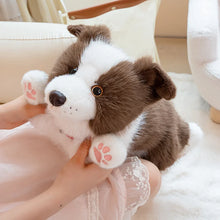 Load image into Gallery viewer, Realistic Border Collie Stuffed Animal Plush Toy - 4 Coat Colors-6