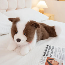 Load image into Gallery viewer, Realistic Border Collie Stuffed Animal Plush Toy - 4 Coat Colors-Brown-50cm-19