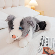 Load image into Gallery viewer, Realistic Border Collie Stuffed Animal Plush Toy - 4 Coat Colors-Grey-50cm-17
