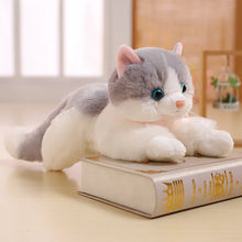 Load image into Gallery viewer, Realistic British Shorthair Cat Plushie - Gray and White - Lying with Pink Inner Ears-Stuffed Animals-2