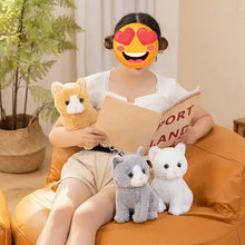 Load image into Gallery viewer, Realistic British Shorthair Cat Soft Toy - Gray and White - Sitting with Pink Nose-3
