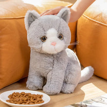Load image into Gallery viewer, Realistic British Shorthair Cat Soft Toy - Gray and White - Sitting with Pink Nose-8