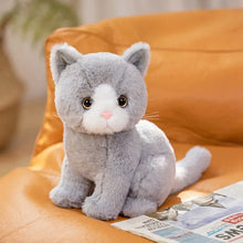 Load image into Gallery viewer, Realistic British Shorthair Cat Soft Toy - Gray and White - Sitting with Pink Nose-style-A-3-26cm-1
