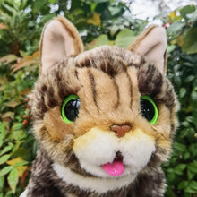 Load image into Gallery viewer, Realistic Brown Tabby Maine Coon Cat with Green Eyes Stuffed Animal Plush Toy