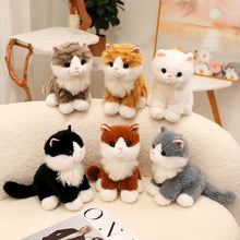 Load image into Gallery viewer, Realistic Black and White Maine Coon Cat Stuffed Animal Plush Toy-Cats-Black and White Cat,Cat Memorial Gifts,Cats,Maine Coon,Stuffed Animal-11