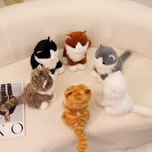Load image into Gallery viewer, Realistic Black and White Maine Coon Cat Stuffed Animal Plush Toy-Cats-Black and White Cat,Cat Memorial Gifts,Cats,Maine Coon,Stuffed Animal-12