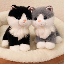 Load image into Gallery viewer, Realistic Grey and White Maine Coon Cat Stuffed Animal Plush Toy-Cats-Cat Memorial Gifts,Cats,Grey and White Cat,Maine Coon,Stuffed Animal-7