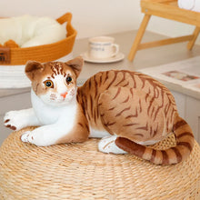 Load image into Gallery viewer, Realistic Brown Tabby and White Cat Plush Toy - Lifelike Sitting Pose-2