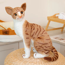 Load image into Gallery viewer, Realistic Brown Tabby and White Cat Plush Toy - Lifelike Sitting Pose-5
