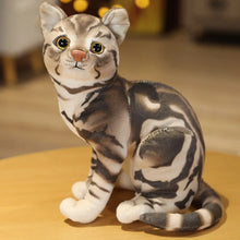 Load image into Gallery viewer, Realistic Brown Tabby and White Cat Stuffed Animal - Adorable Lifelike Companions-Sitting brown-36cm-1