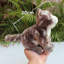 Load image into Gallery viewer, Realistic Small Brown Tabby and White Cat Stuffed Animal Plush Toy-Stuffed Animals-Cats,Stuffed Animal,Tabby Cat-8