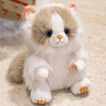 Load image into Gallery viewer, Realistic Chocolate Ragdoll Cat Soft Toy - Sitting with Blue Eyes-Khaki cat-25cm-1