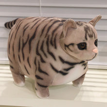 Load image into Gallery viewer, Realistic Chubby Fat Brown Tabby Cat Plush Toy - Bag Charm Also Available-Brown tiger cat-about 50x20cm-1