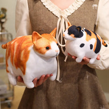 Load image into Gallery viewer, Realistic Chubby Fat Calico Cat Plush Toy - Bag Charm Also Available-10