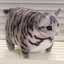 Load image into Gallery viewer, Realistic Chubby Fat Silver and White Tabby Cat Plush Toy - Bag Charm Also Available-Gray tiger cat-about 50x20cm-1