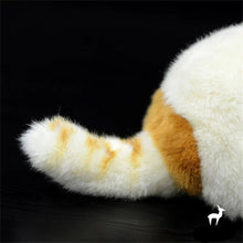 Load image into Gallery viewer, Realistic Cream and White British Shorthair Cat Plush Toy-4