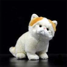 Load image into Gallery viewer, Realistic Cream and White British Shorthair Cat Plush Toy-5