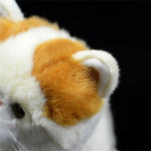 Load image into Gallery viewer, Realistic Cream and White British Shorthair Cat Plush Toy-6