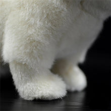 Load image into Gallery viewer, Realistic Cream and White British Shorthair Cat Plush Toy-7