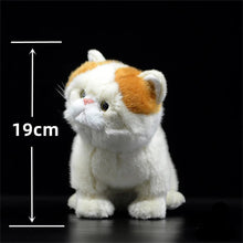 Load image into Gallery viewer, Realistic Cream and White British Shorthair Cat Plush Toy-with opp bag-CHINA-8