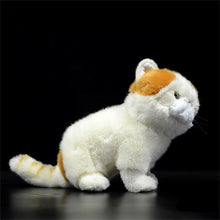 Load image into Gallery viewer, Realistic Cream and White British Shorthair Cat Plush Toy-1