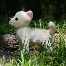 Load image into Gallery viewer, Realistic Cream Chihuahua Stuffed Animals Plush Toys-Chihuahua,Dog Memorial Gifts,Stuffed Animal-5