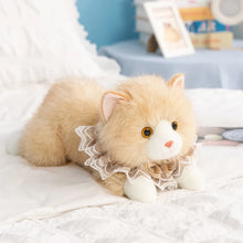 Load image into Gallery viewer, Realistic Cream &amp; White Persian Cat Stuffed Animal - Darling Lace Collar Kitty