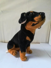 Load image into Gallery viewer, Realistic Curious Sitting Rottweiler Stuffed Animal Plush Toy-3