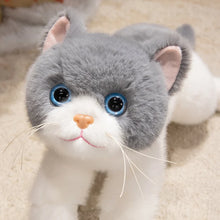 Load image into Gallery viewer, Realistic Gray and White Cat Plush Toy - Happy Face Blue Eyes Play Pose