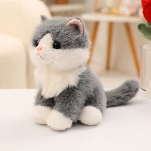Load image into Gallery viewer, Realistic Grey and White Cat Stuffed Animal Plush Toy - Small Size - Sitting Pose-Cats-Stuffed Animal-Grey cat-20cm-1
