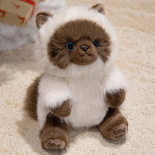 Load image into Gallery viewer, Realistic Himalayan Cat Plushie - Sitting with Blue Eyes-Brown cat-25cm-1