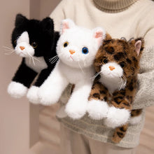 Load image into Gallery viewer, Realistic Hug Me Black and White Cat Stuffed Animal Plush Toys-2