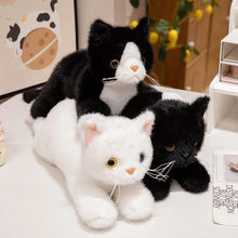 Load image into Gallery viewer, Realistic Hug Me Heterochromia White Cat Stuffed Animal Plush Toys-4