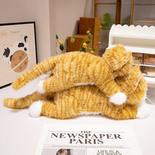 Load image into Gallery viewer, Realistic Hug Me Orange White Tabby Cat Stuffed Animal Plush Toys-7