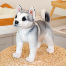 Load image into Gallery viewer, Realistic Husky Stuffed Animal - Lifelike Lounging Husky-6