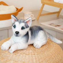 Load image into Gallery viewer, Realistic Husky Stuffed Animal - Lifelike Lounging Husky-25 lying grey-1
