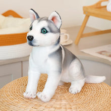 Load image into Gallery viewer, Realistic Husky Stuffed Animal - Lifelike Lounging Husky-22 sitting grey-6