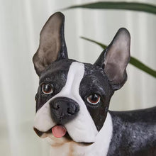 Load image into Gallery viewer, Realistic Large Boston Terrier Statue - Lifelike Dog Sculpture for Home-Home Decor-Home Decor,Statue-2
