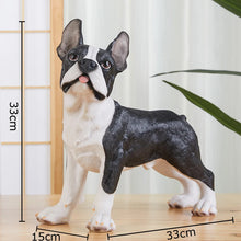 Load image into Gallery viewer, Realistic Large Boston Terrier Statue - Lifelike Dog Sculpture for Home-French Bulldog-1