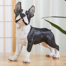 Load image into Gallery viewer, Realistic Large Boston Terrier Statue - Lifelike Dog Sculpture for Home-18
