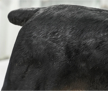 Load image into Gallery viewer, Realistic Large Miniature Pinscher Statue - Lifelike Dog Sculpture for Home-14