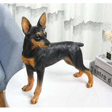 Load image into Gallery viewer, Realistic Large Miniature Pinscher Statue - Lifelike Dog Sculpture for Home-18