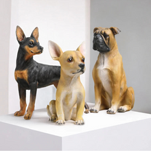 Load image into Gallery viewer, Realistic Large Miniature Pinscher Statue - Lifelike Dog Sculpture for Home-2
