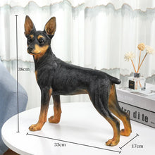 Load image into Gallery viewer, Realistic Large Miniature Pinscher Statue - Lifelike Dog Sculpture for Home-Doberman Pinscher-1