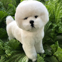 Load image into Gallery viewer, Realistic Lifelike Bichon Frise Stuffed Animal Plush Toys-Stuffed Animals-Bichon Frise, Home Decor, Stuffed Animal-9