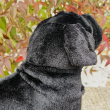 Load image into Gallery viewer, Realistic Lifelike Black Pug Stuffed Animal Plush Toy-Light Red-China Mainland-82