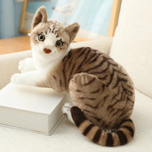 Load image into Gallery viewer, Realistic Lifelike Brown White Tabby Cat Stuffed Animal Plush Toys-Cats-Cats,Stuffed Animal-5
