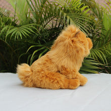 Load image into Gallery viewer, Realistic Lifelike Chow Chow Stuffed Animal Plush Toy-Stuffed Animals-Chow Chow, Home Decor, Stuffed Animal-2